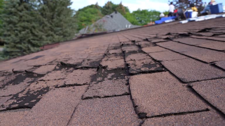 Best Roof Ventilation Installation  in Erwin, NC